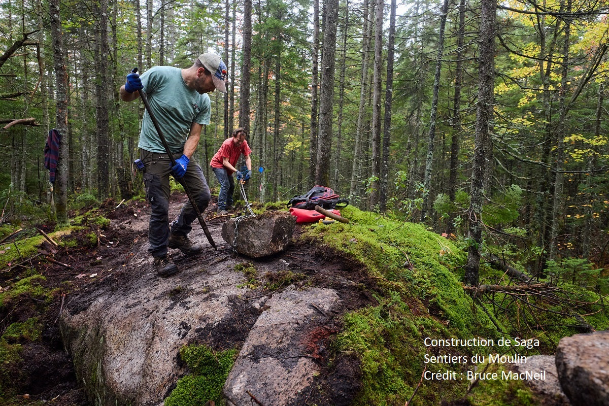 Nouveaux Sentiers de Vélo de Montagne au Québec en 2025
