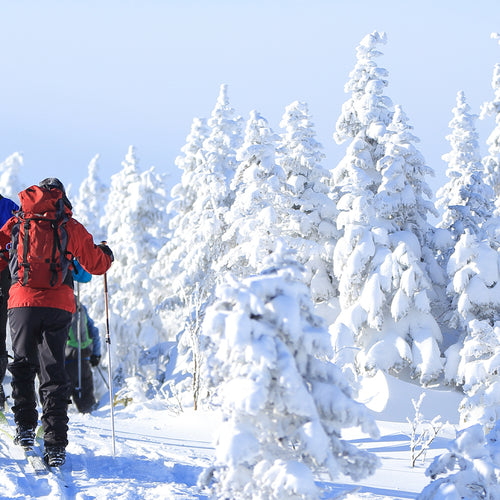 Quoi faire au Saguenay-Lac-St-Jean en hiver?