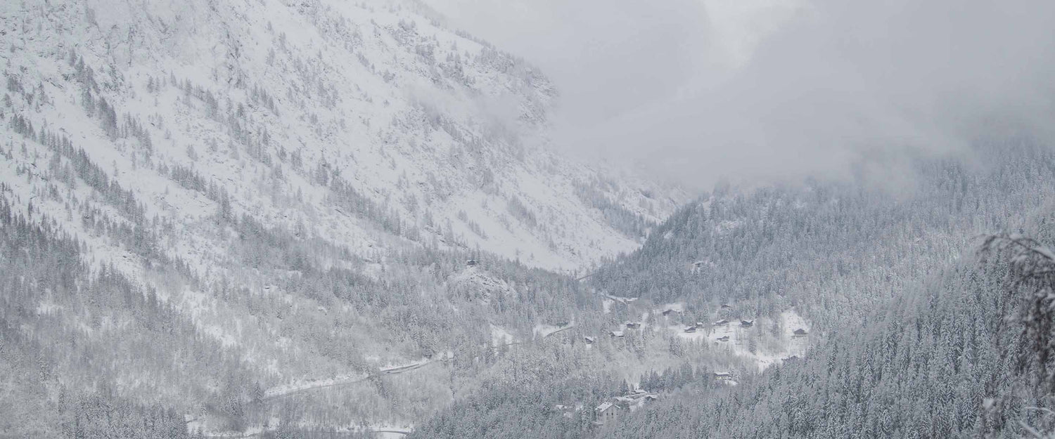 Voyage de ski dans les Alpes