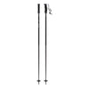 AMT SQS Adult Ski Poles