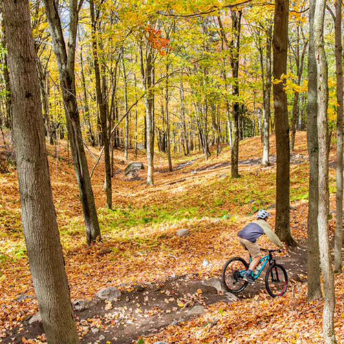 S’entraîner pour la saison de vélo de montagne