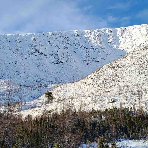 Les cours de sécurité en avalanche