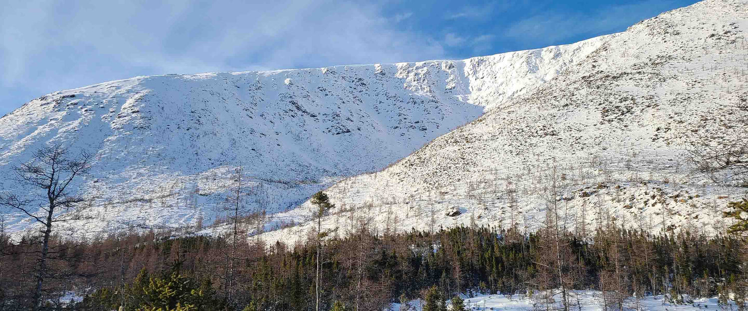 Les cours de sécurité en avalanche