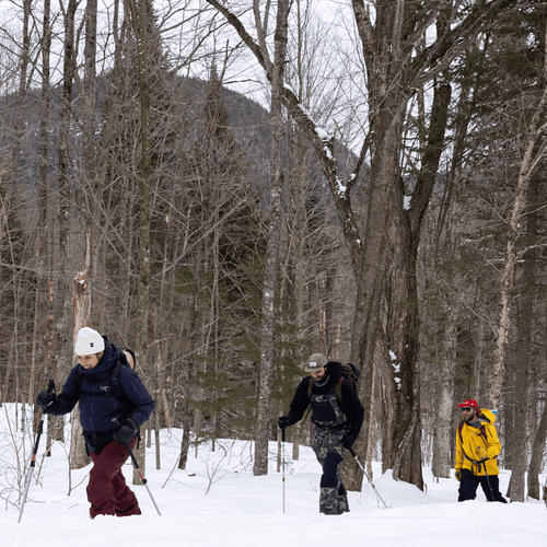 Un groupe de skieurs se promène dans l'arrière-pays de la Vallée Bras-du-Nord