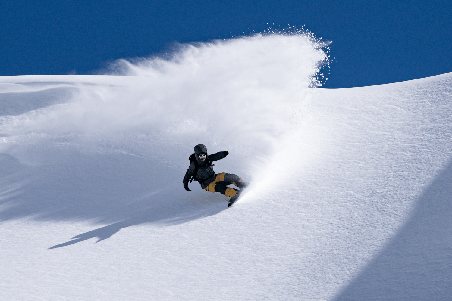 Une planchiste descend dans la poudreuse