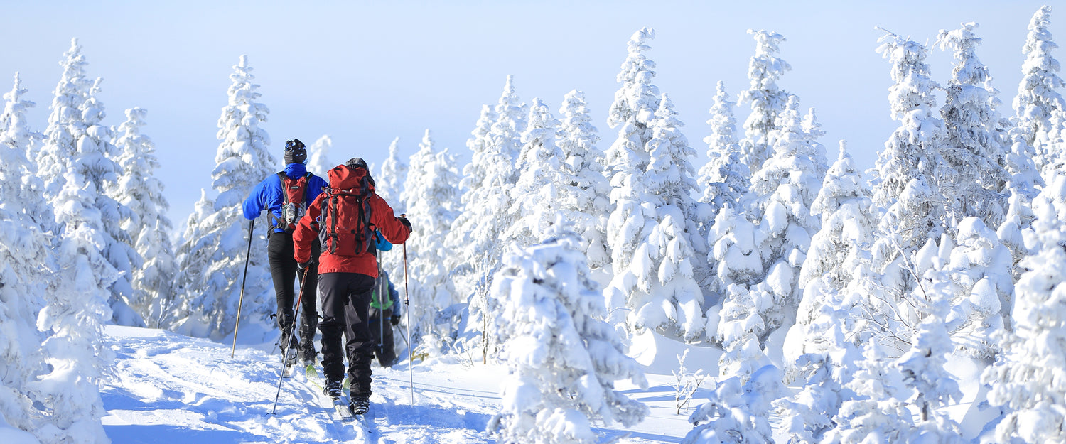 Quoi faire au Saguenay-Lac-St-Jean en hiver?