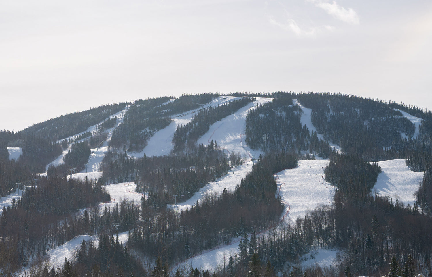 Équipement de ski - skis alpins, skis de fond et skis de randonnée