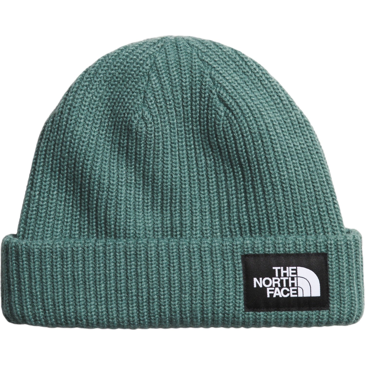 Salty Lined Adult Beanie