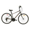 Silhouette Adult Bike