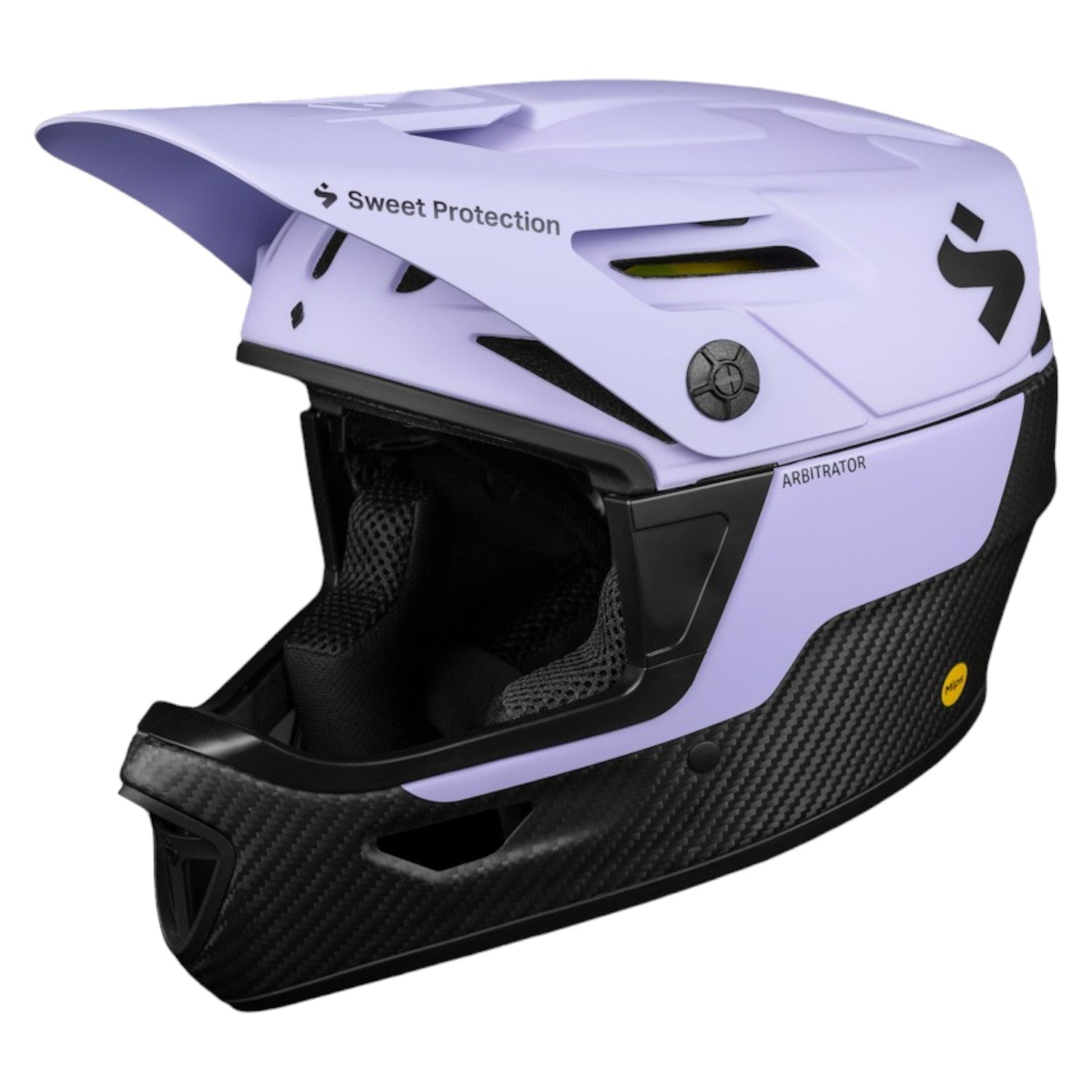 Casque de Vélo Arbitrator Mips® Adulte