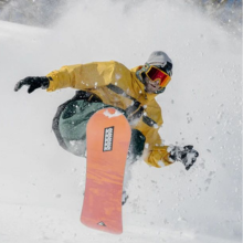 Snowboards