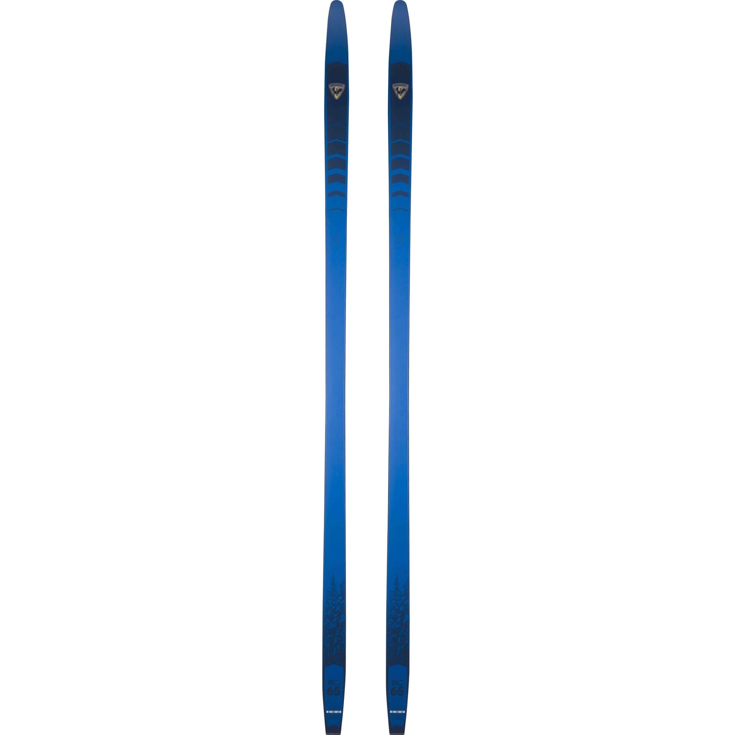 Skis de Fond BC 65 Positrack Adulte