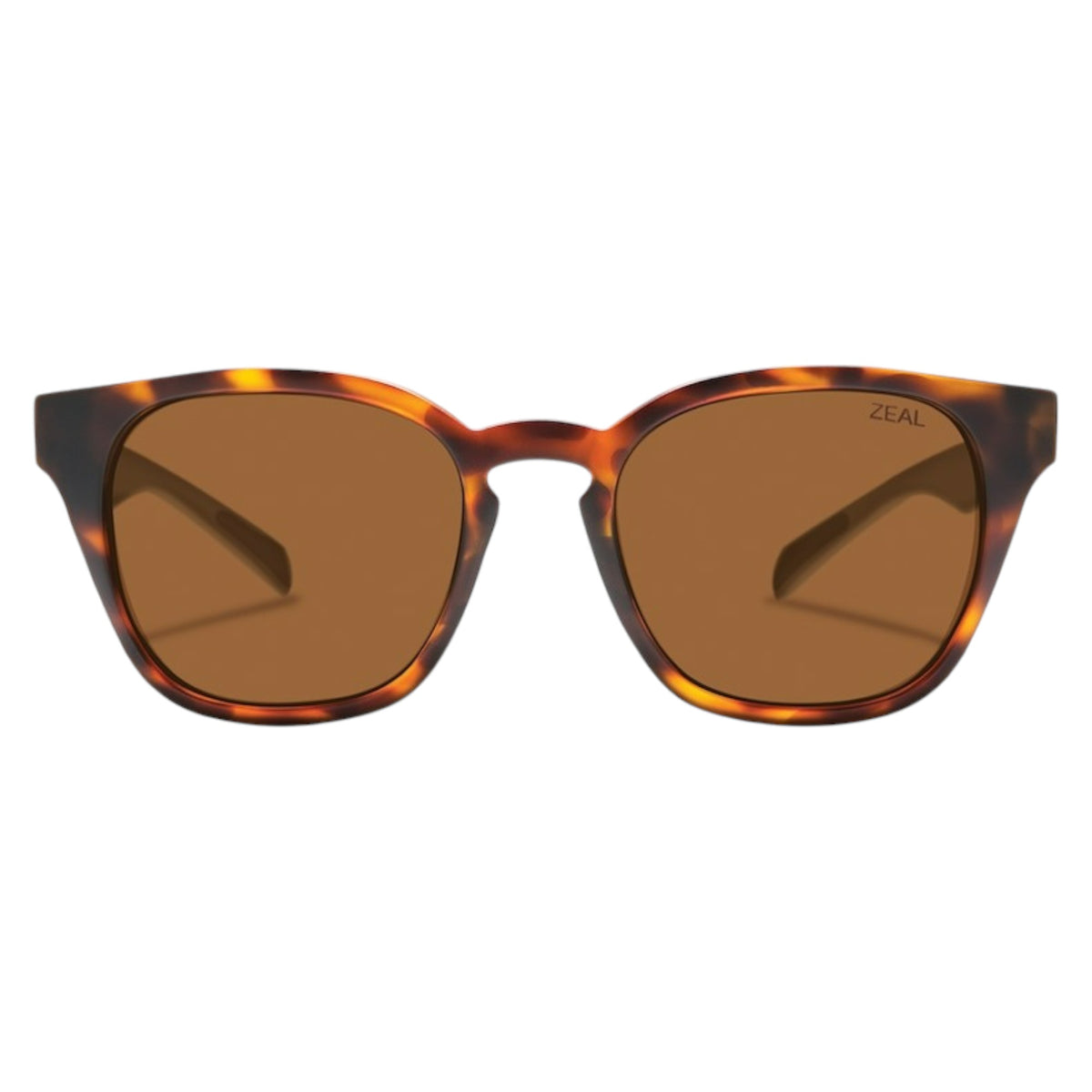 Lunettes de Soleil Windsor Adulte