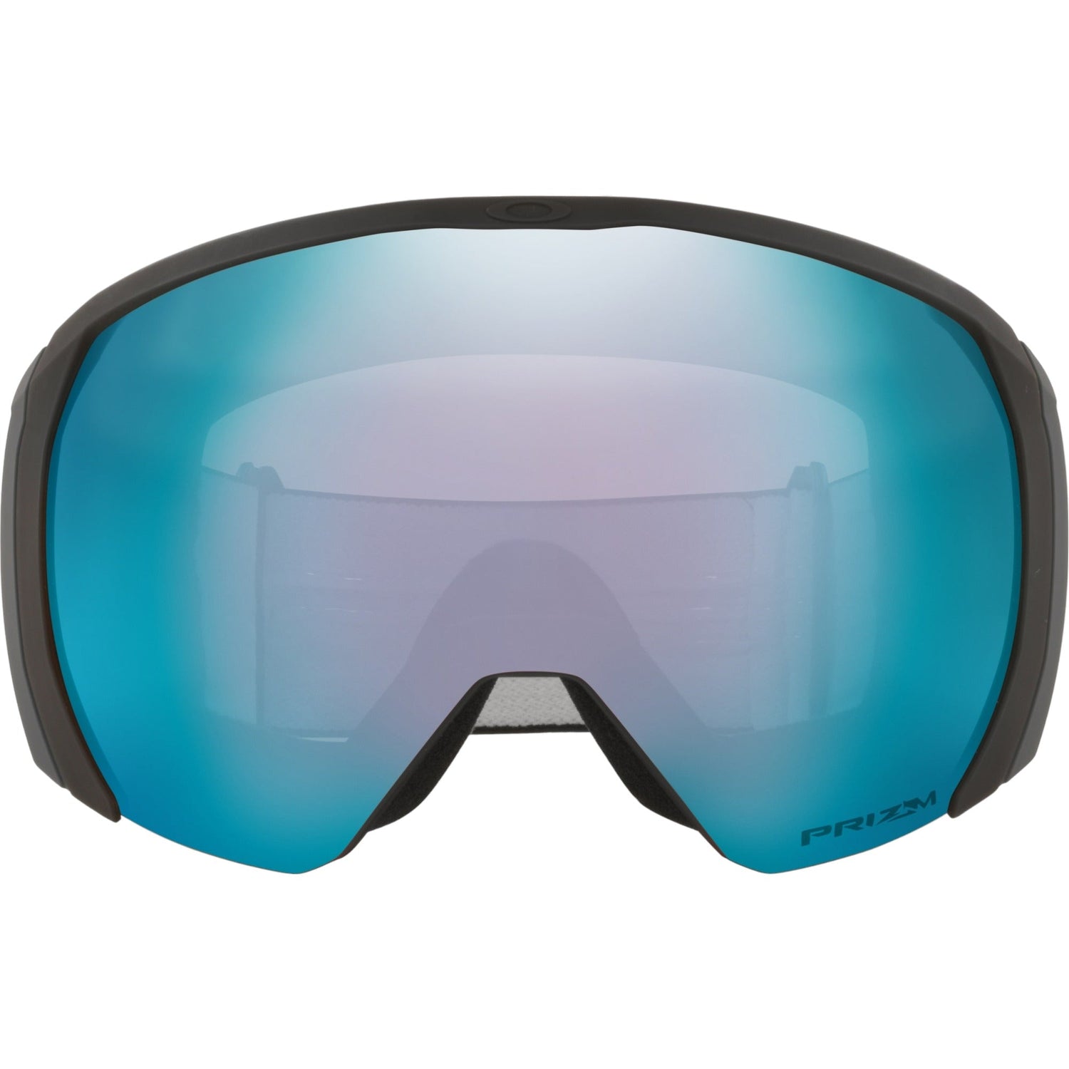 Flight Path L Adult Ski Goggles