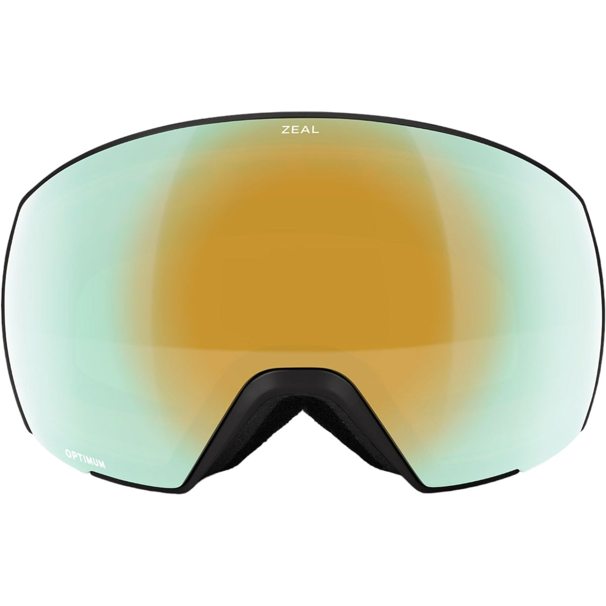 Hangfire Adult Ski Goggles