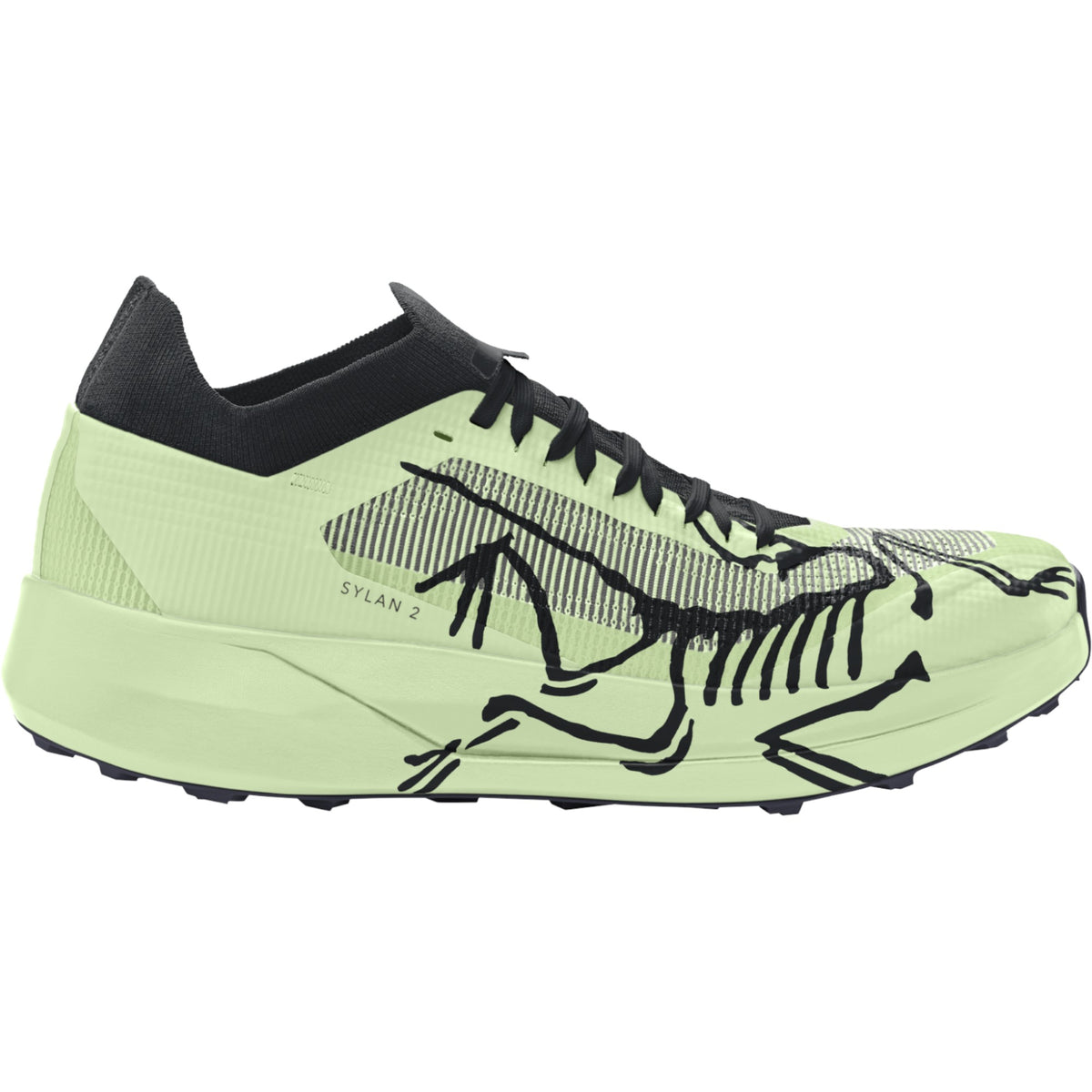 Arc'teryx Shincha/Shincha.023035 4.5