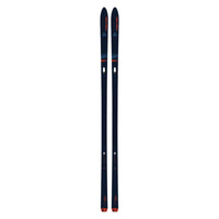 Fischer 169