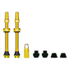 Tubeless V2 Valve