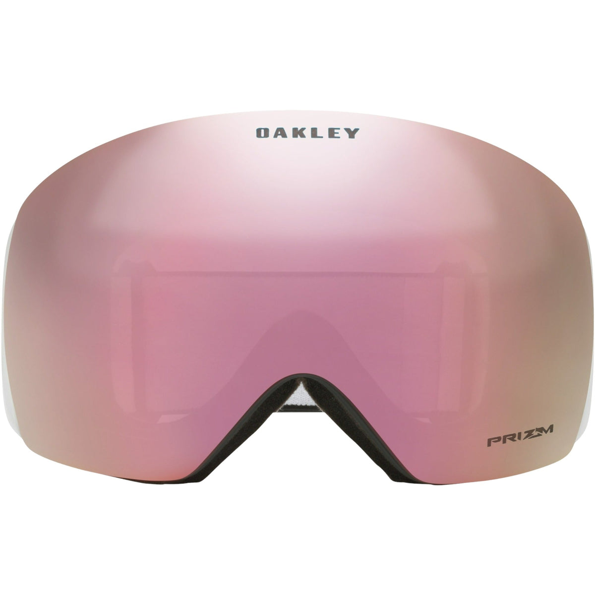 Flight Deck L Adult Ski Goggles