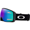 Flight Tracker L Adult Ski Goggles