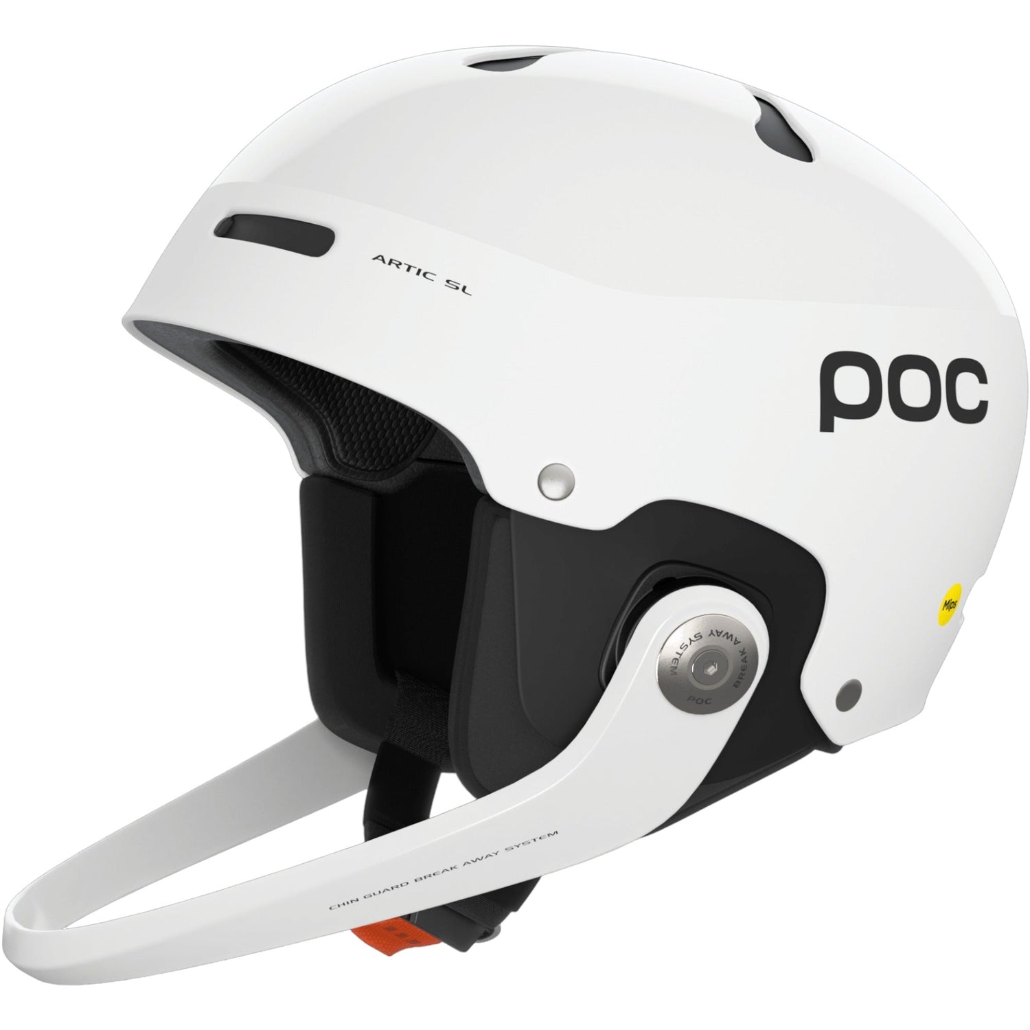 Casque de Ski Artic SL MIPS Adulte