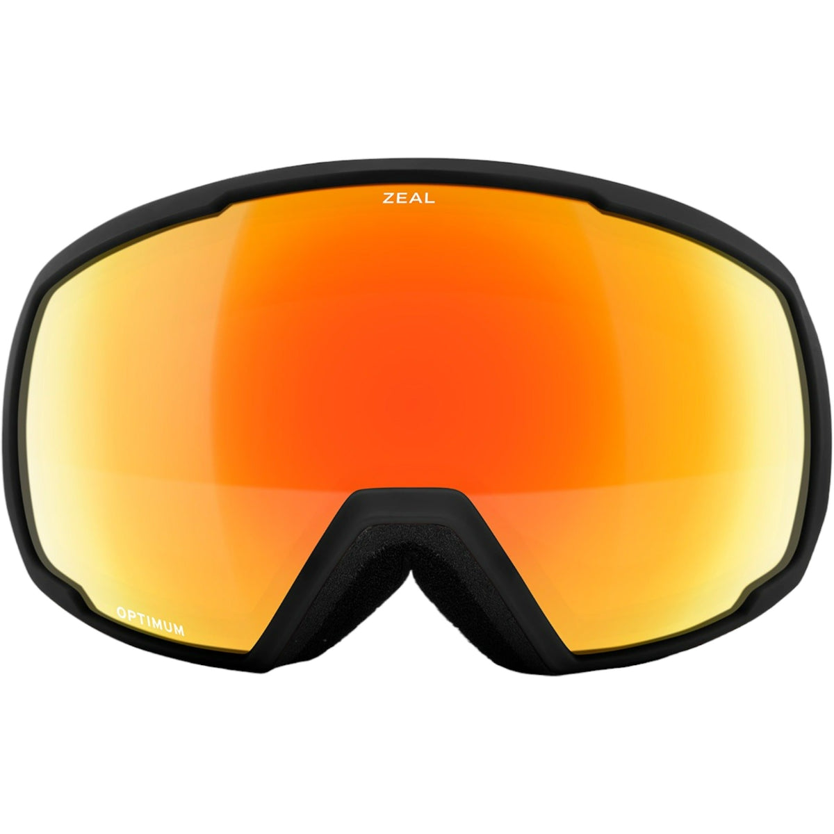 Nomad Adult Ski Goggles