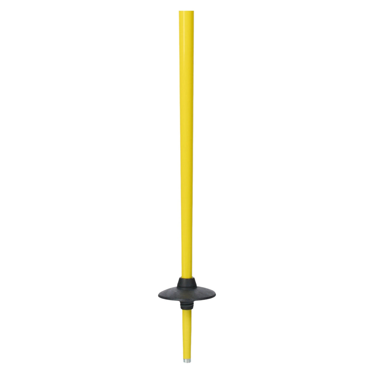 Pin Men Ski Poles
