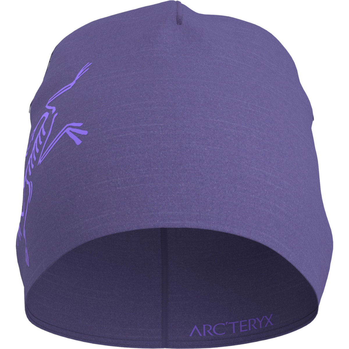Arc'teryx Blurple/Violectric.023406