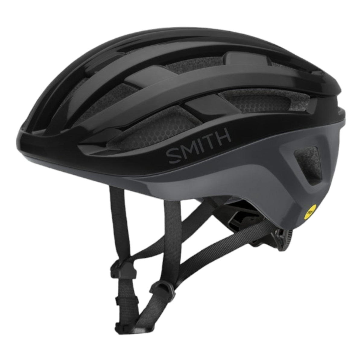 Persist MIPS Adult Bike Helmet