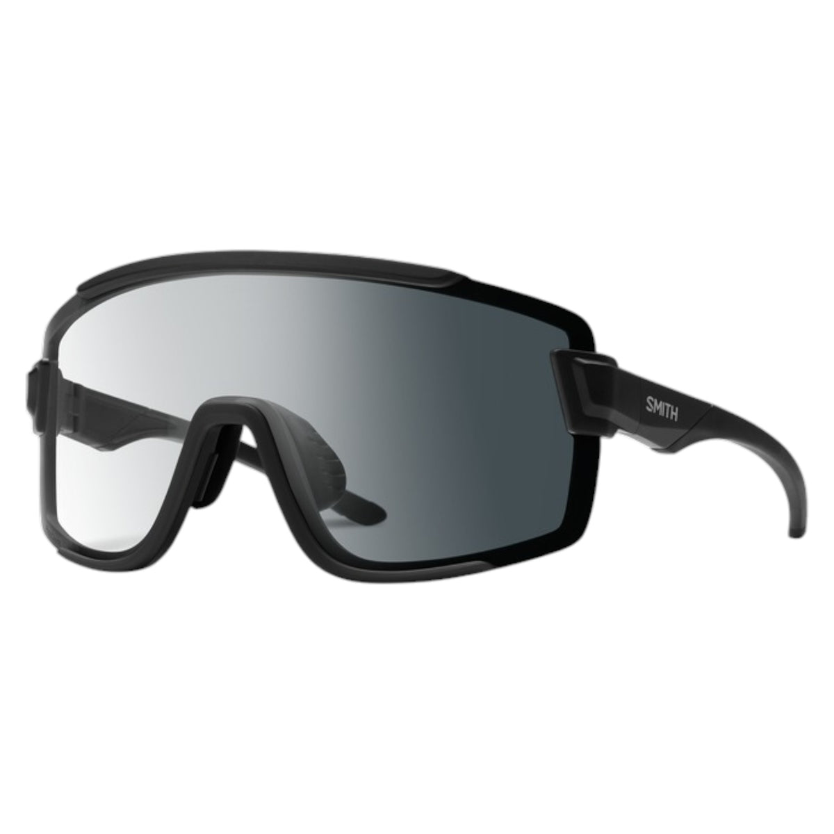 Lunettes de Soleil Wildcat Adulte