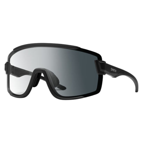 Lunettes de Soleil Wildcat Adulte