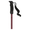 Cloud Women Ski Poles