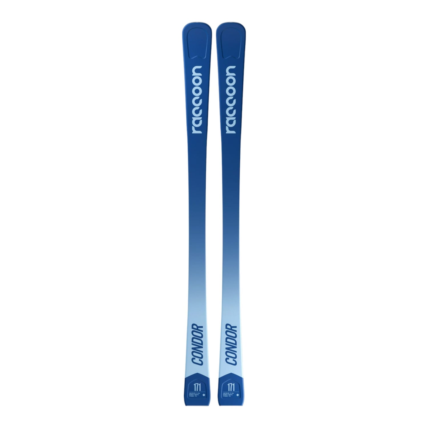Le Condor TI Adult Alpine Skis
