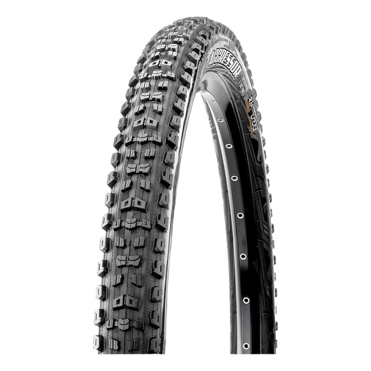 Pneu pour Vélo de Montagne Aggressor