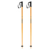 Prodigy Adult Ski Poles