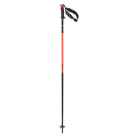 Bâtons de Ski Polar Pro S3 Adulte