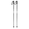 Prodigy Adult Ski Poles