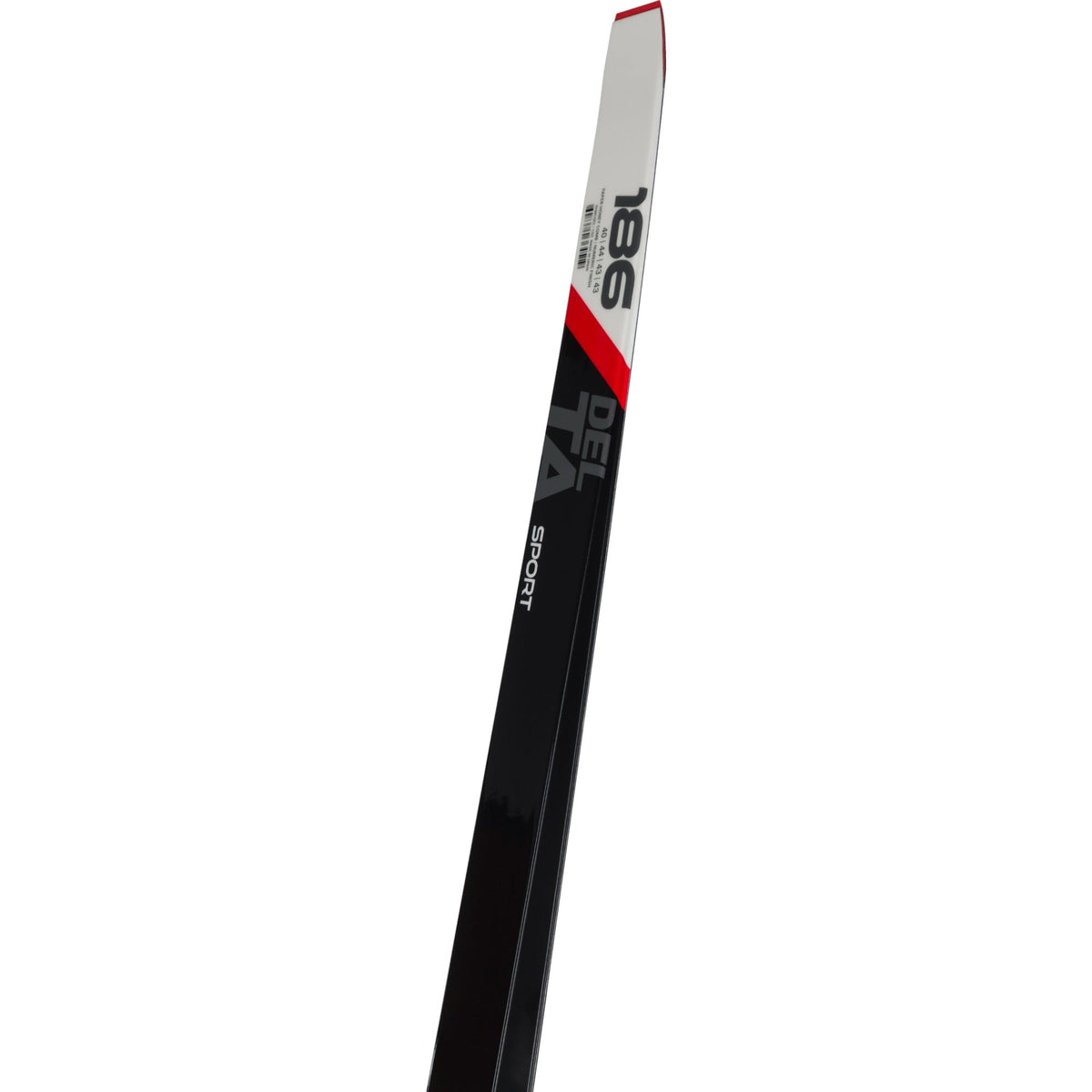 Skis de Fond Delta Sport Skating Adulte