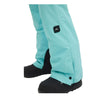 Star Insulated Women Pants