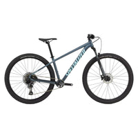 Rockhopper Expert Adult Bike