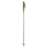 Free Vario Adult Ski Poles