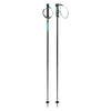 Frontside Adult Ski Poles
