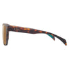 Lunettes de Soleil Capitol Adulte