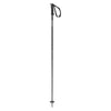 Polar Adult Ski Poles