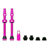 Valve Tubeless V2