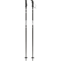 AMT Adult Ski Poles