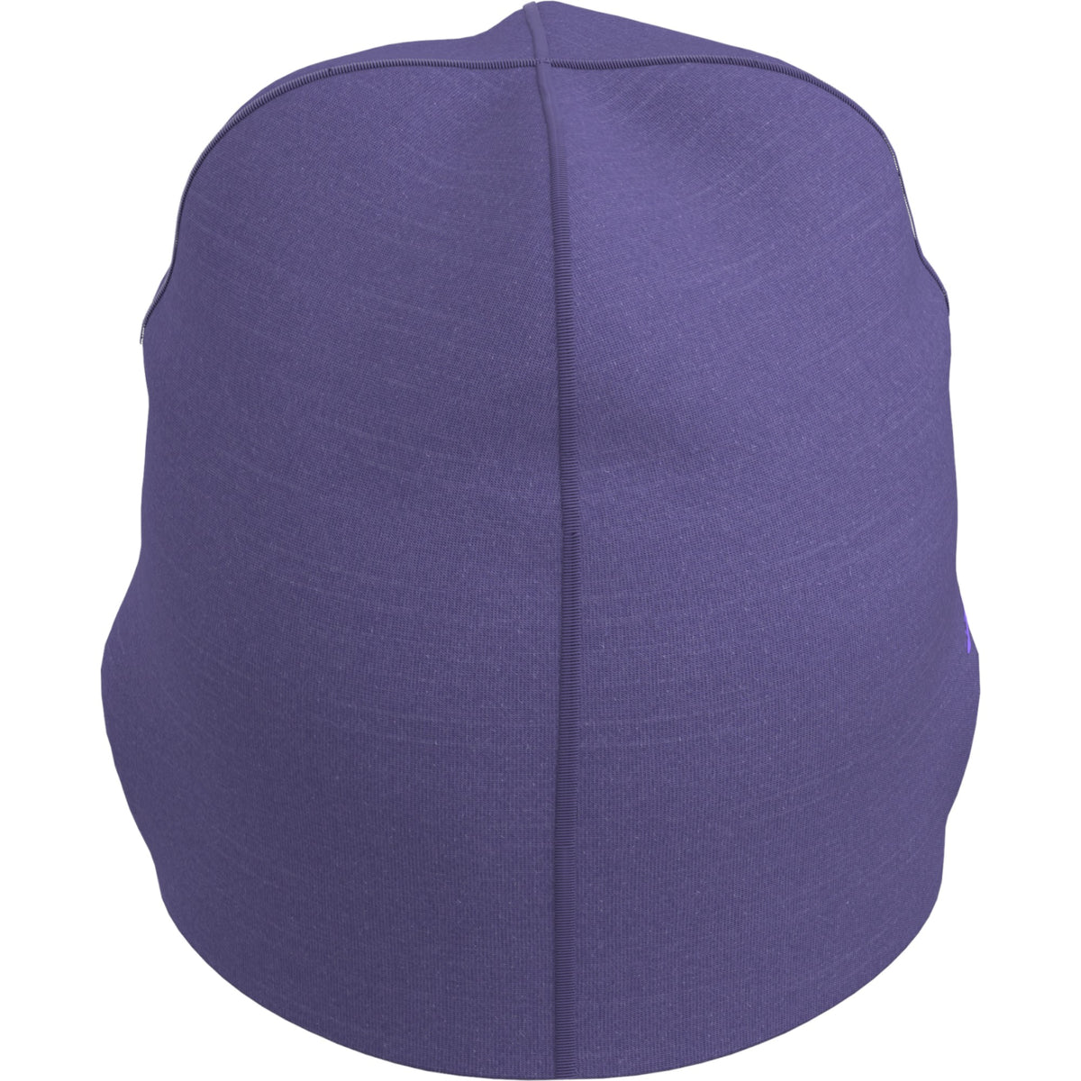 Arc'teryx Blurple/Violectric.023406