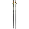 Dynamic D3 Just Click Adult Cross-Country Ski Poles
