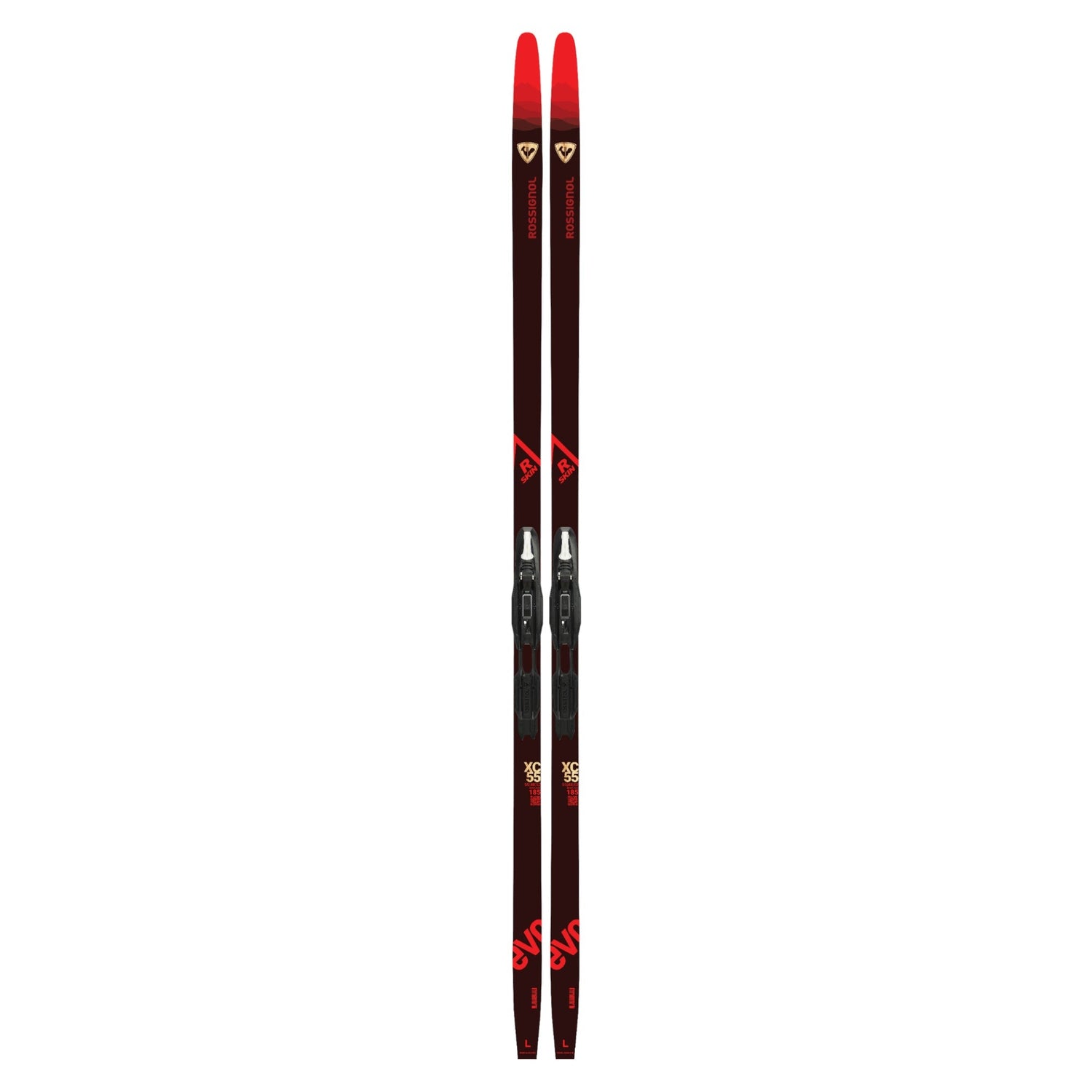 Evo XC 55 R-Skin IFP + Control Step In Adult Cross-Country Skis