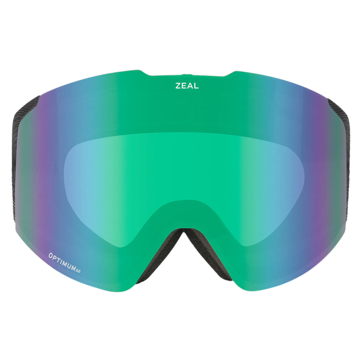Meridian RLS+ODT Adult Ski Goggles